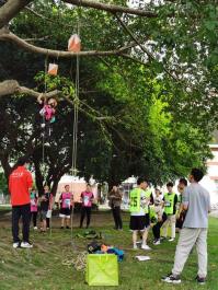 雨燕360体育手机版图片